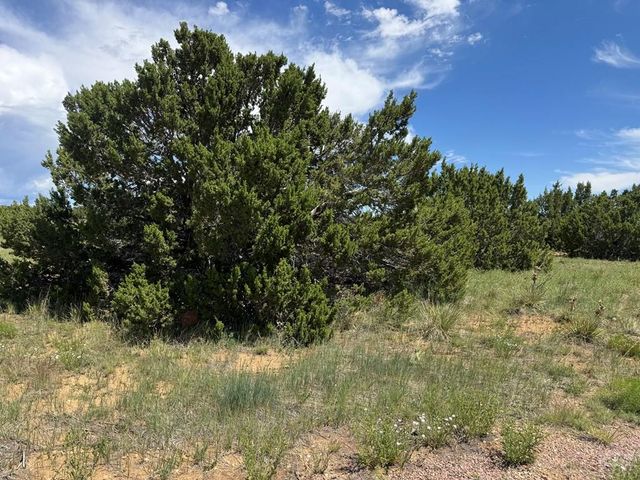 Lot 11 Old West Ct, Walsenburg, CO 81089