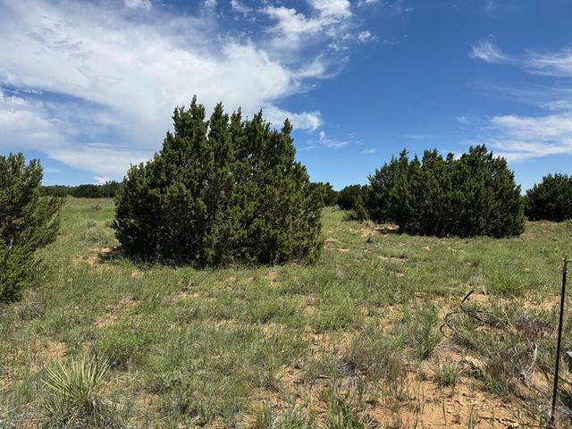 Lot 11 Old West Ct, Walsenburg, CO 81089