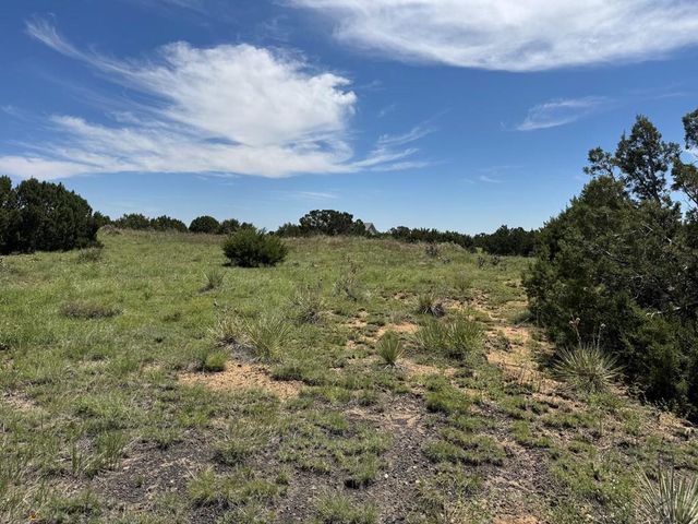 Lot 11 Old West Ct, Walsenburg, CO 81089