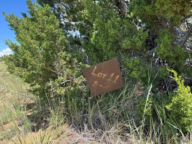 Lot 11 Old West Ct, Walsenburg, CO 81089