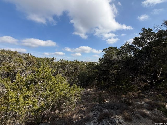 0 Tbd Labrusca, New Braunfels, TX 78132