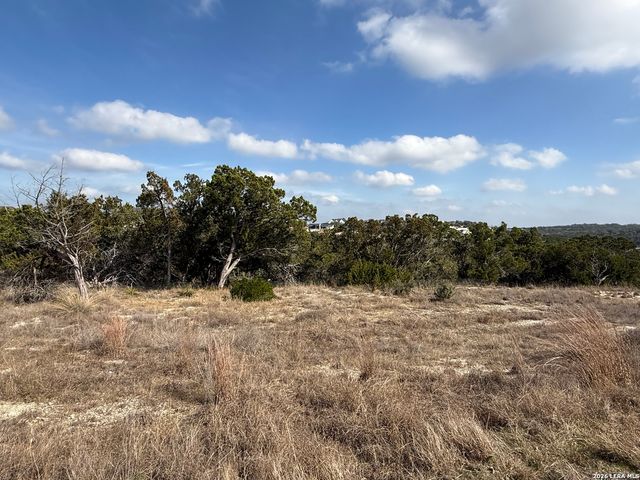 0 Tbd Labrusca, New Braunfels, TX 78132