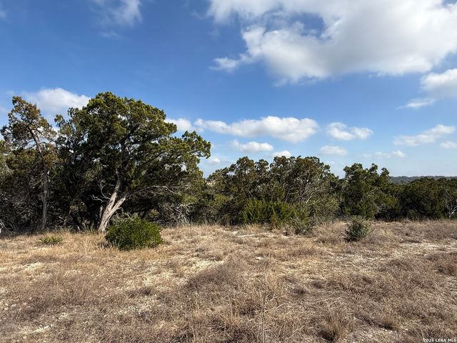0 Tbd Labrusca, New Braunfels, TX 78132