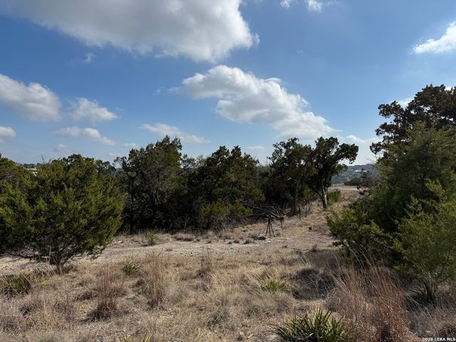 0 Tbd Labrusca, New Braunfels, TX 78132