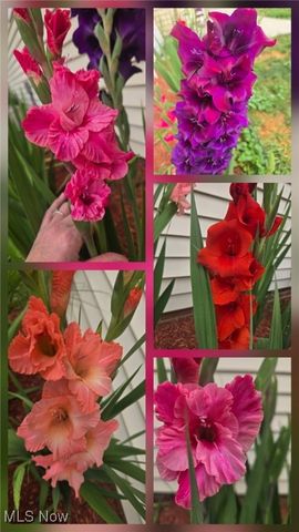 4811 W Pleasant Valley Road, Parma, OH 44129