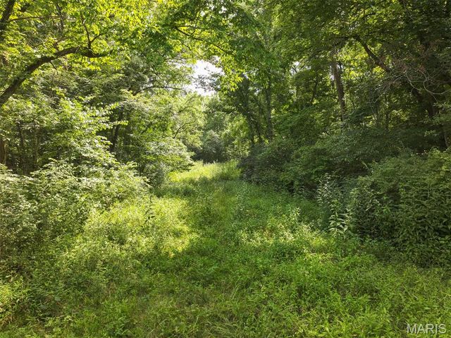 10911 Magnolia Road, Sullivan, MO 63080