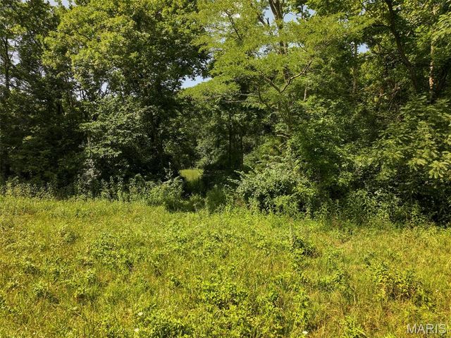 10911 Magnolia Road, Sullivan, MO 63080
