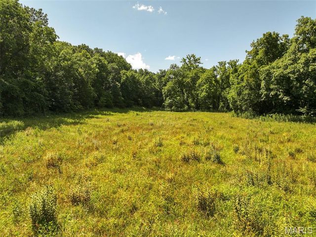 10911 Magnolia Road, Sullivan, MO 63080