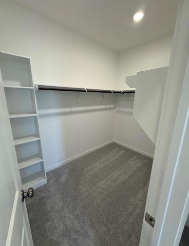 16052 Tallis Drive, Conroe, TX 77303