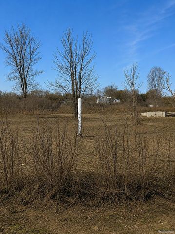 2969 Reeves Road, Riley Township, MI 48041