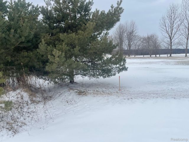 2969 Reeves Road, Riley Township, MI 48041