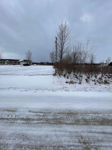 2969 Reeves Road, Riley Township, MI 48041