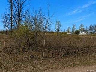 2969 Reeves Road, Riley Township, MI 48041