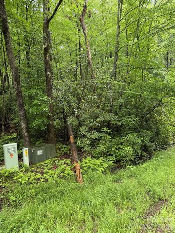 Lot 68 Cherrywood Lane, Pisgah Forest, NC 28768