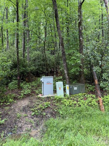 Lot 68 Cherrywood Lane, Pisgah Forest, NC 28768