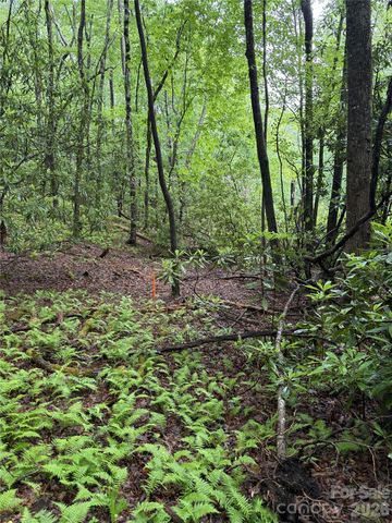 Lot 68 Cherrywood Lane, Pisgah Forest, NC 28768
