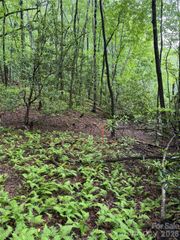 Lot 68 Cherrywood Lane, Pisgah Forest, NC 28768