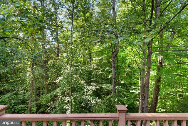7877 PAINTED DAISY DR, Springfield, VA 22152
