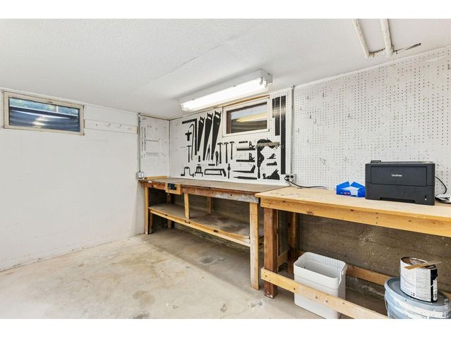 822 Walnut St, Windsor, CO 80550