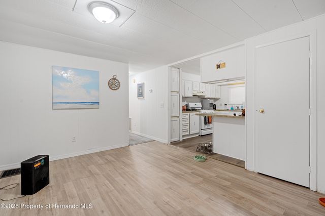 3617 County Road 406, Lake Panasoffkee, FL 33538