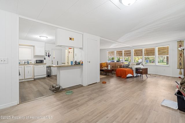 3617 County Road 406, Lake Panasoffkee, FL 33538