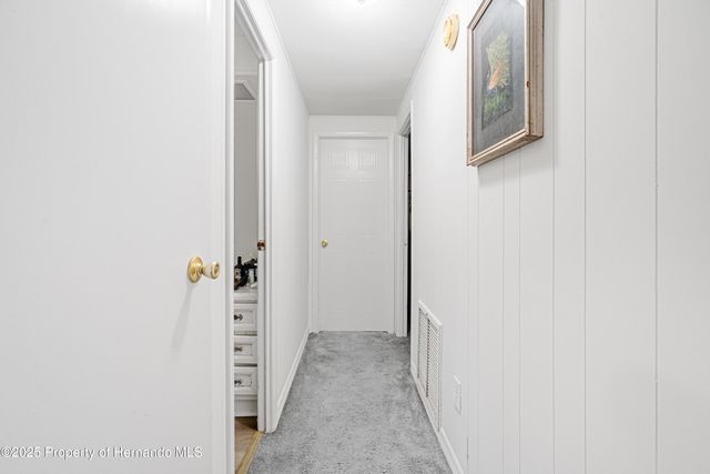 3617 County Road 406, Lake Panasoffkee, FL 33538