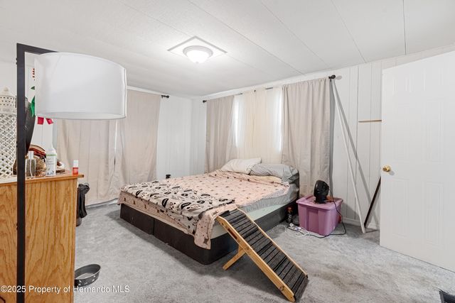 3617 County Road 406, Lake Panasoffkee, FL 33538