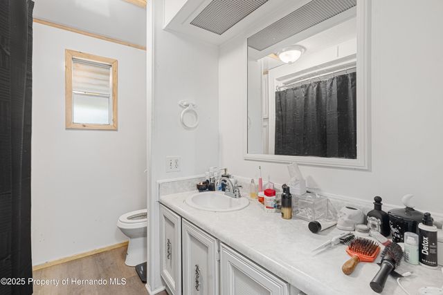 3617 County Road 406, Lake Panasoffkee, FL 33538