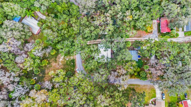 3617 County Road 406, Lake Panasoffkee, FL 33538