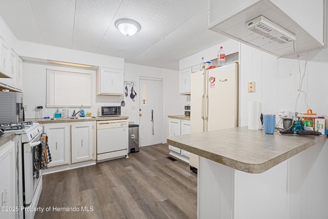 3617 County Road 406, Lake Panasoffkee, FL 33538