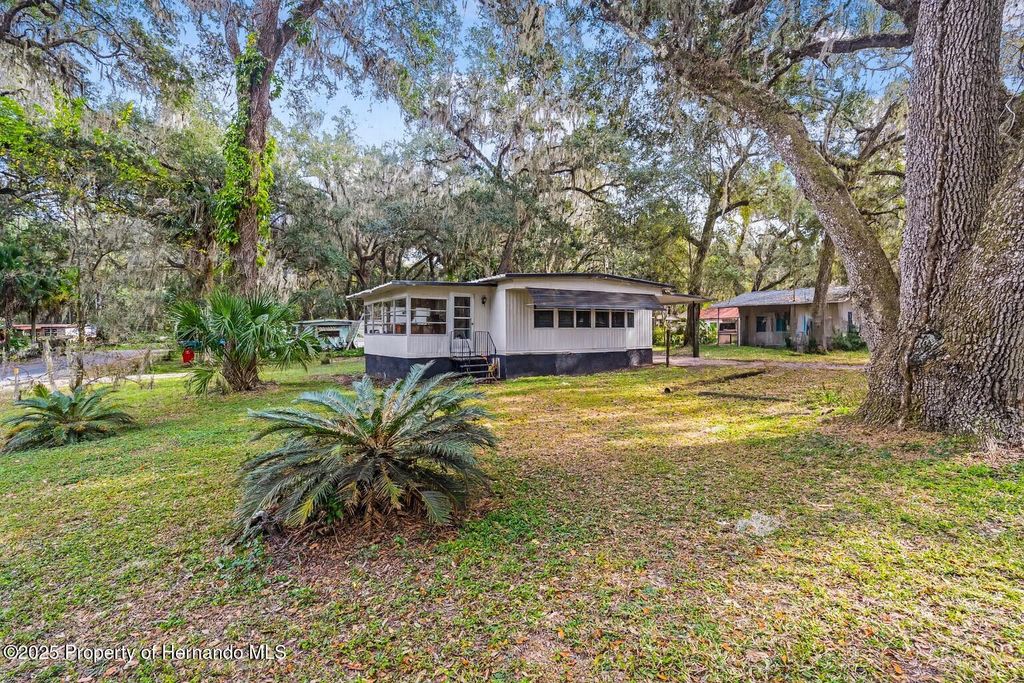 3617 County Road 406, Lake Panasoffkee, FL 33538