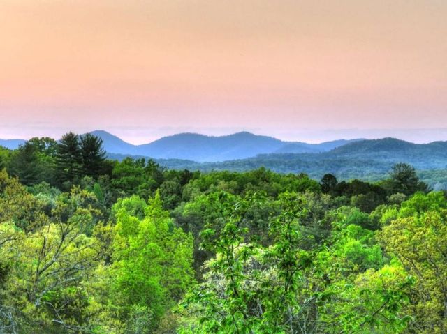 329 Robinson Thomas Road, Morganton, GA 30560