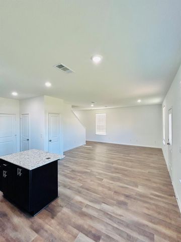 17919 Stone Picker Court, Hockley, TX 77447