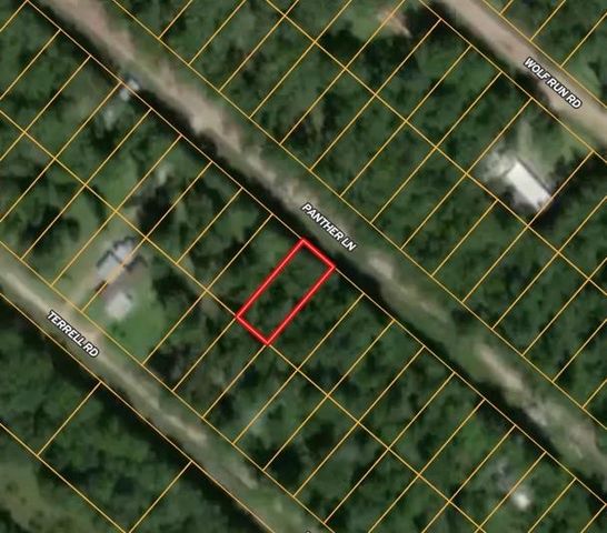 115 Tomahawk Trail, Livingston, TX 77351