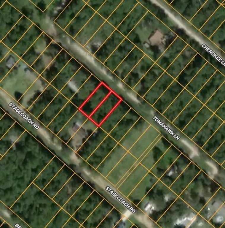 115 Tomahawk Trail, Livingston, TX 77351