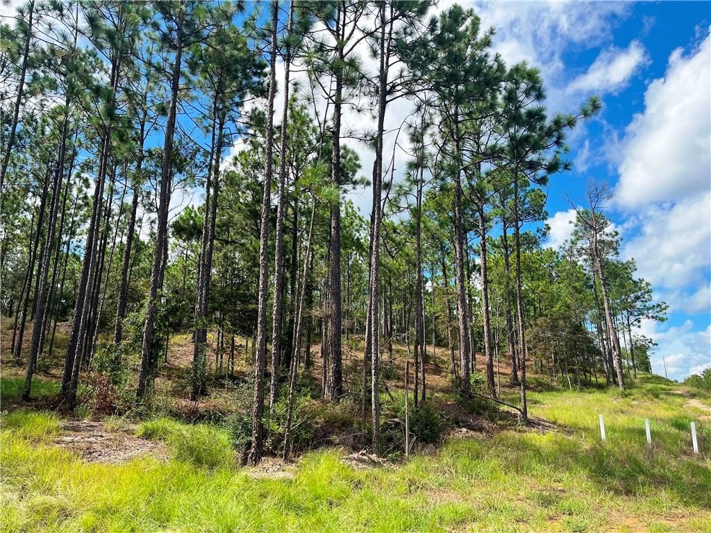 0 State Highway 225, Bay Minette, AL 36507 — exterior
