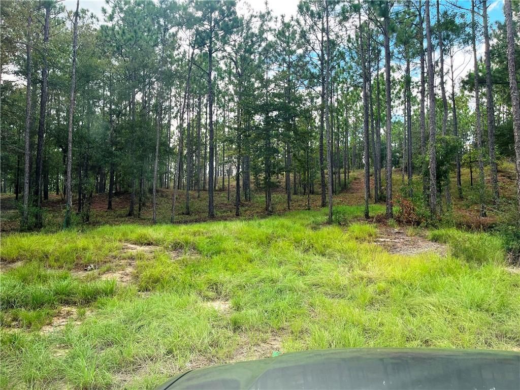 0 State Highway 225, Bay Minette, AL 36507 — photo 2