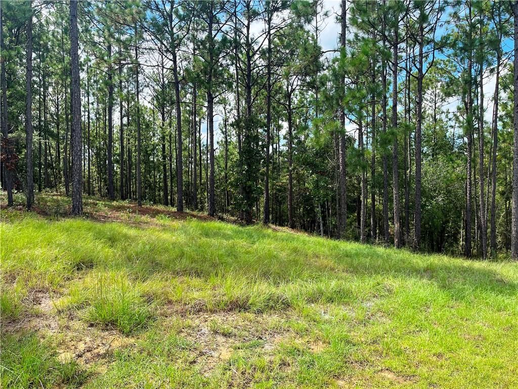 0 State Highway 225, Bay Minette, AL 36507 — photo 3
