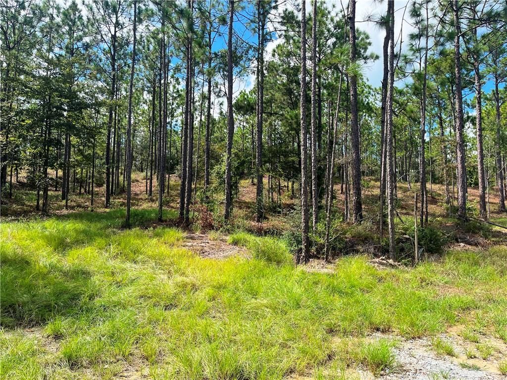 0 State Highway 225, Bay Minette, AL 36507 — photo 4
