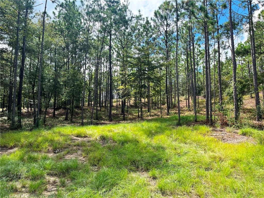 0 State Highway 225, Bay Minette, AL 36507 — photo 5