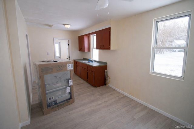 24 Albion Street, Liberty, NY 12754