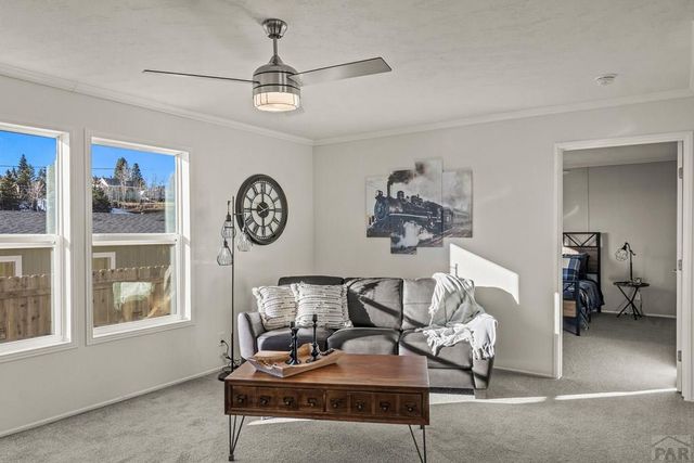 525 Carr Ave, Cripple Creek, CO 80813