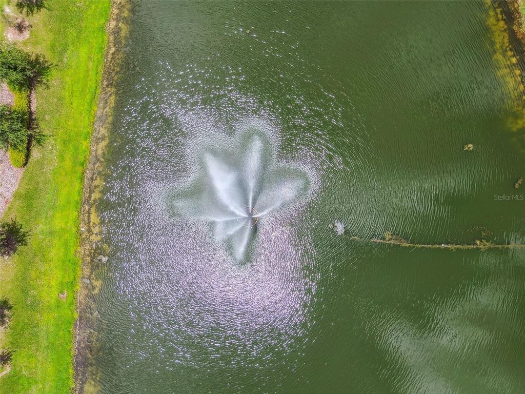 Image 74 of property listing at 12453 HORSESHOE BEND DRIVE, Lithia, FL 33547