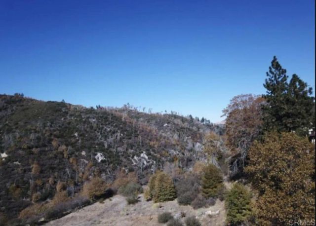 1036 Brentwood, Lake Arrowhead, CA 92352