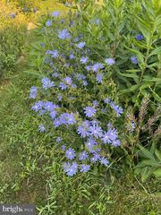 27 S 7TH ST, Quakertown, PA 18951