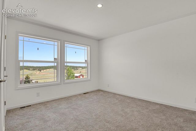 58 Elfin Glen Drive, Divide, CO 80814