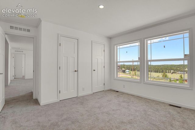 58 Elfin Glen Drive, Divide, CO 80814