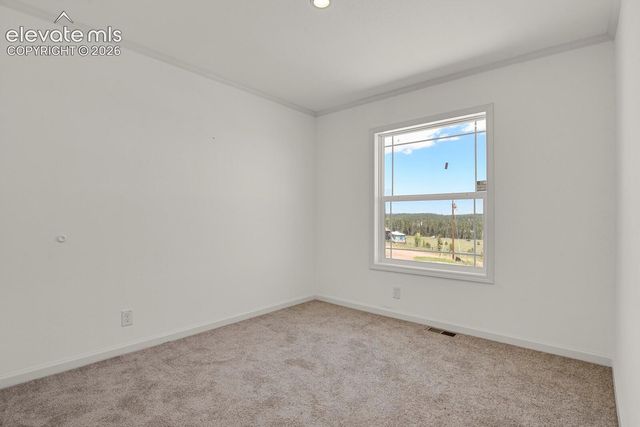58 Elfin Glen Drive, Divide, CO 80814