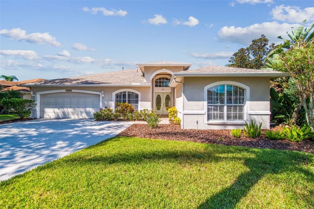 19417 MORDEN BLUSH DRIVE, Lutz, FL 33558