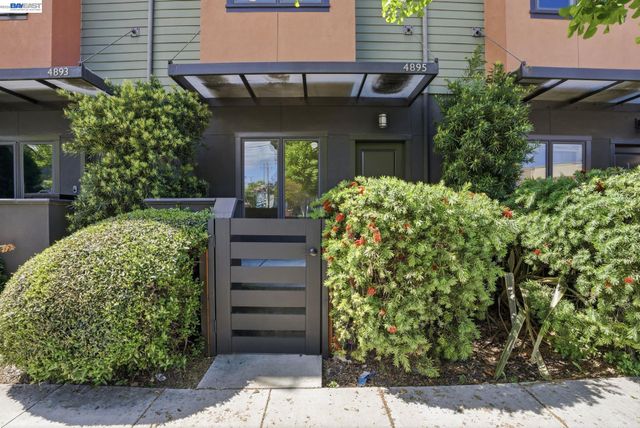 4895 Shattuck Ave, Oakland, CA 94609